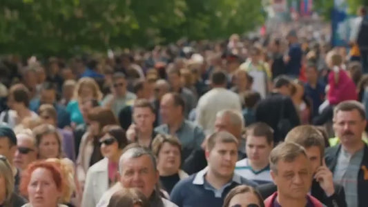 Bacterium Plus Complejo Probiótico